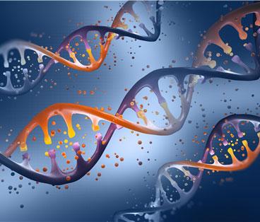  Oligonucleotide Bioconjugation