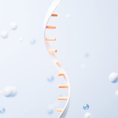 Peptide RNA Conjugation