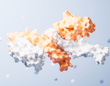 Protein Drug Conjugation