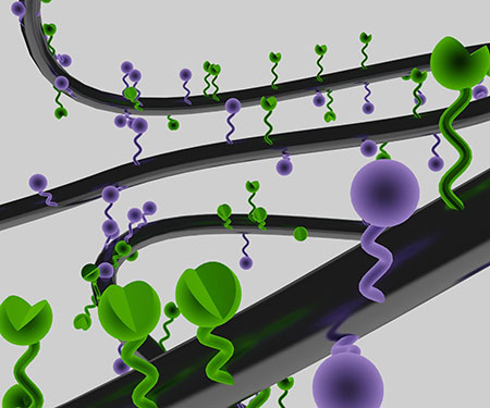 GalNAc-ASO  Conjugation