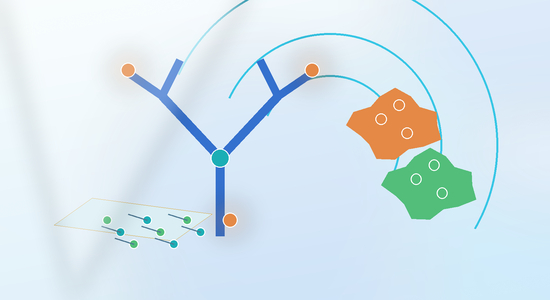 Antibody-Enzyme Conjugation: HRP, Alkaline Phosphatase, and Detection System Design