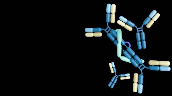 Antibody Labeling Techniques: Chemistry, Label Selection, Workflow, and Quality Control