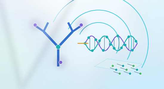 Antibody-Oligonucleotide Conjugation for Multiplex Assays and Single-Cell Analysis