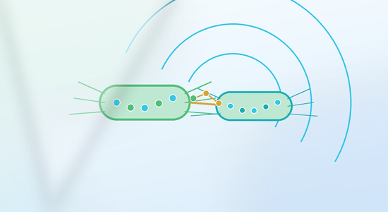 Bacterial Conjugation