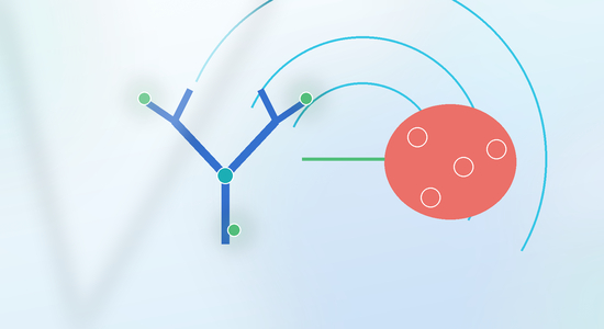 Bioconjugation for Tumor Targeting
