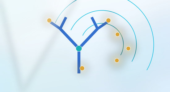 Biotin Conjugated Primary Antibody - Principles, Applications, and Custom Conjugation Services