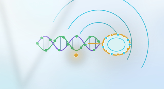 Biotin Labeled RNA