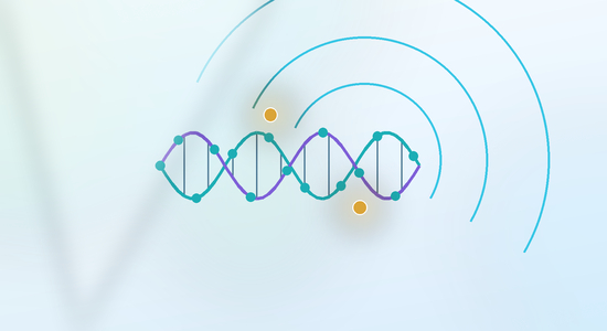 Biotin Labelled DNA