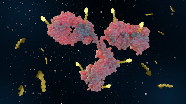 Click Chemistry Antibody Conjugation: Methods, Linker Design, Workflow, and Quality Control