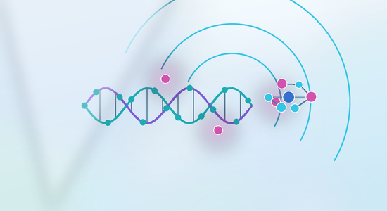 Cy5 Labeled Nucleotides: Selection, Incorporation, Applications, and Quality Control