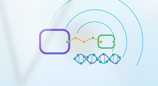 DBCO vs BCN for Oligonucleotide, Peptide, and Small-Molecule Conjugation