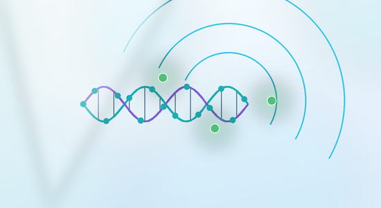 FAM-Labeled siRNA: Design, Synthesis, Applications, and Quality Control