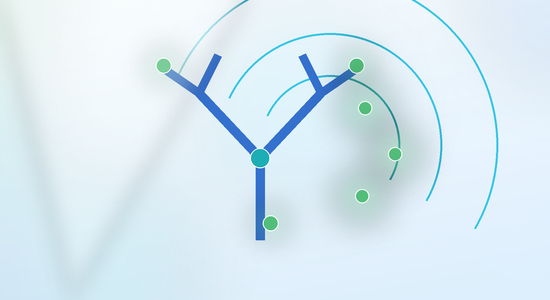 FITC Conjugated Antibody