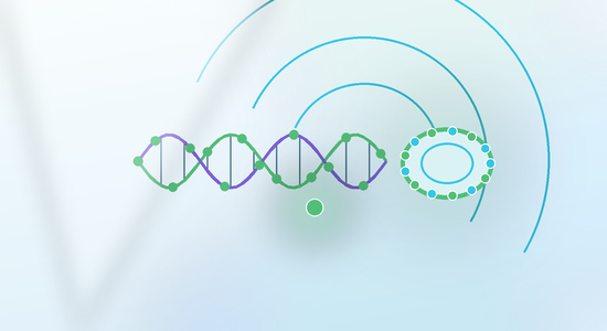 FITC labeled siRNA
