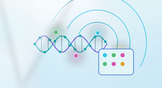 FISH Probe Design, Fluorescent Labeling, and Multiplexing Strategies