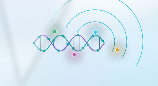 Fluorescent Labeled Nucleic Acid: Comprehensive Guide to DNA, RNA, and Oligonucleotide Probes