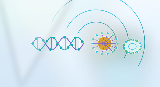 Fluorescent Nucleic Acid-Functionalized Nanoparticles for Drug Delivery and Theranostics