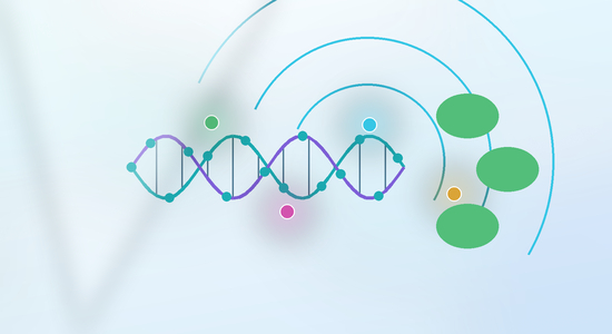 Fluorescent Nucleic Acids for Live-Cell Imaging and Intracellular Tracking