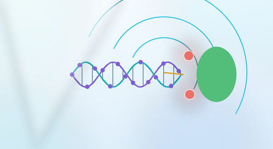 GalNAc Conjugates for Liver-Targeted Oligonucleotide Delivery