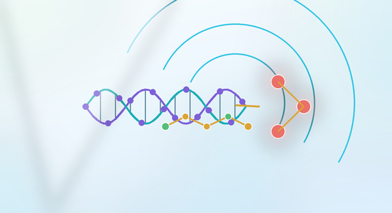 GalNAc Linkers: Choosing Spacers for Oligonucleotide Conjugation