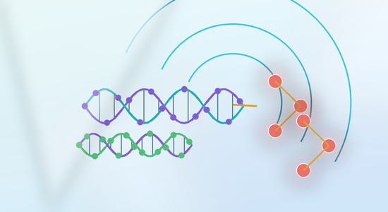 GalNAc-siRNA vs GalNAc-ASO Conjugates: Structural, Chemical, and Analytical Design Differences