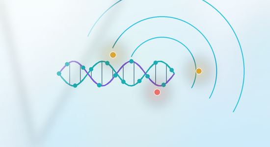 Hapten-Labeled Nucleotides: Design, Incorporation, Detection, and Quality Control