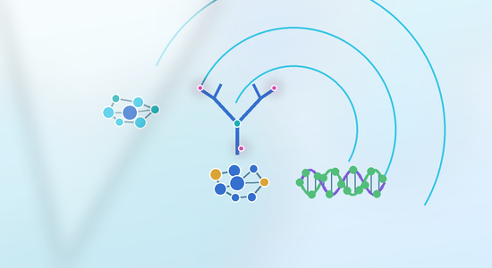 Several Types of Drug Conjugates