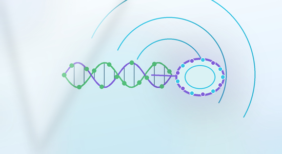 siRNA Delivery Methods