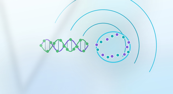 siRNA Delivery Optimization and Development