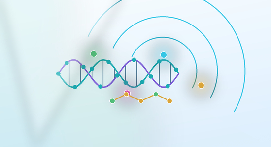 Site-Specific Fluorescent Oligonucleotide Labeling: 5, 3, and Internal Positions