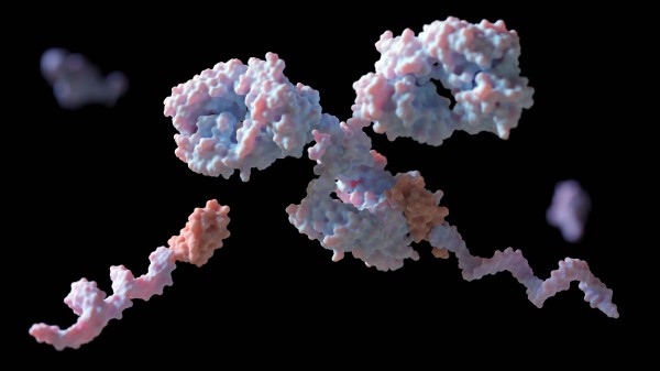 Site-Specific Protein Labeling: Strategies, Chemistries, Workflow Design, and Quality Control