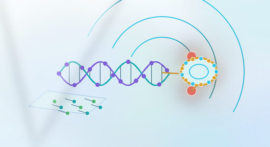 Solid-Phase vs Solution-Phase GalNAc Conjugation: Route Selection for Oligonucleotide Projects