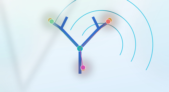 Why Conjugation Site Matters in ADC Development