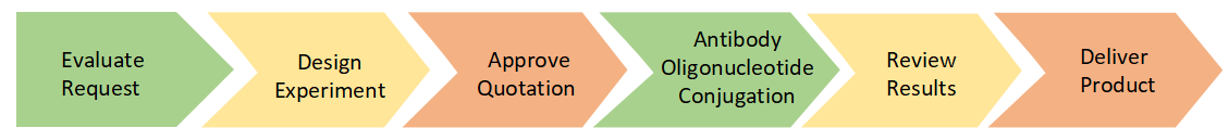 Antibody Oligonucleotide Conjugation