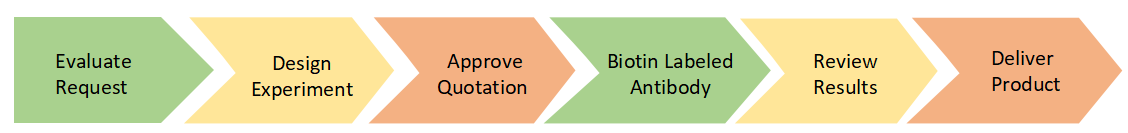 Project Workflow