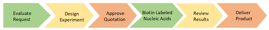 Project Workflow