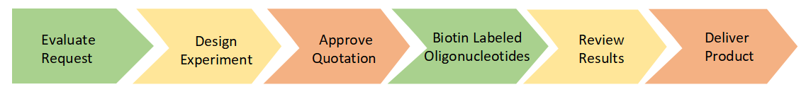 Project Workflow