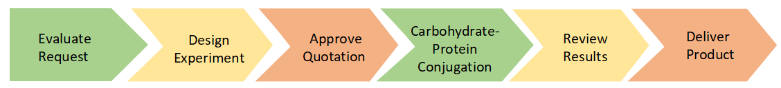 Project Workflow