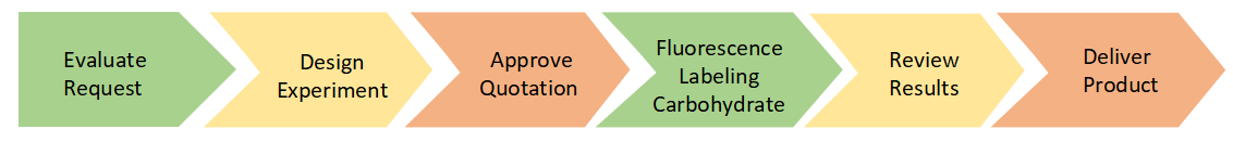 Project Workflow