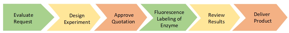 Project Workflow