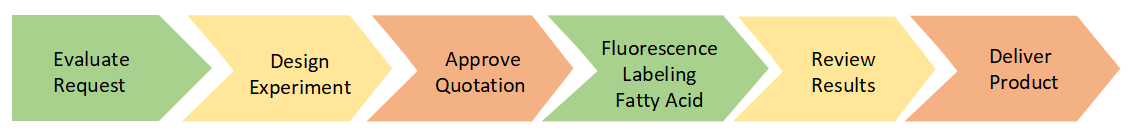 Project Workflow