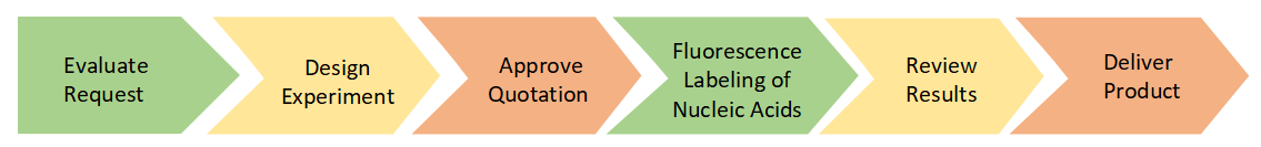 Project Workflow