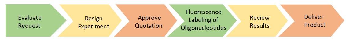 Project Workflow