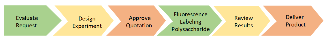 Project Workflow