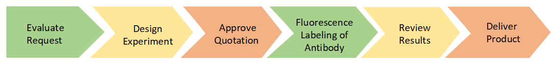 Project Workflow