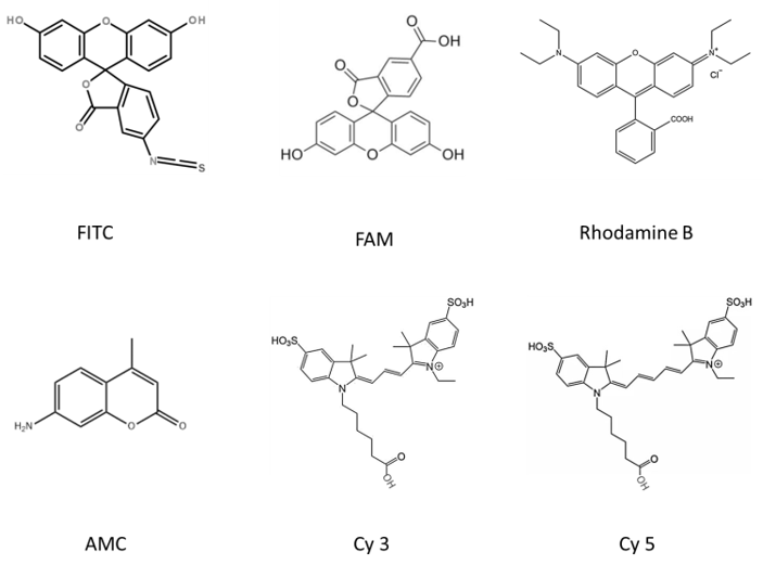 The chemical structure of common fluorescent substances