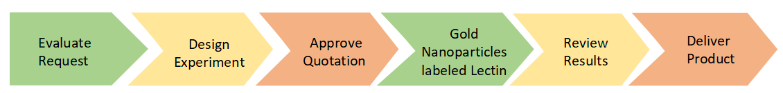 Gold Nanoparticles labeled Lectin