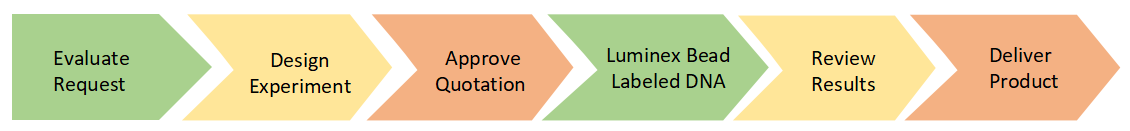 Luminex Bead Labeled DNA