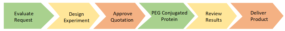 PEG Conjugated Protein