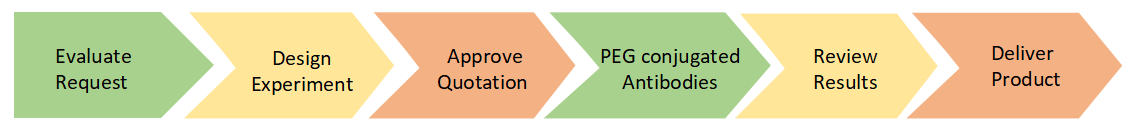 PEG conjugated Antibodies